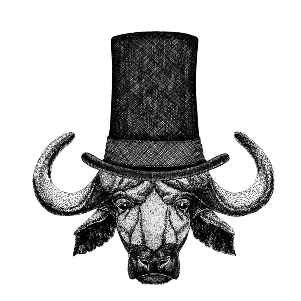 Animale selvatico con cappello a cilindro. Bufalo hipster, toro, bue — Vettoriale Stock