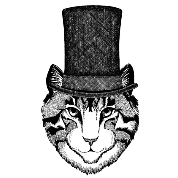 Άγριο ζώο με ψηλό καπέλο, κύλινδρος. Χίπστερ γάτα — Διανυσματικό Αρχείο