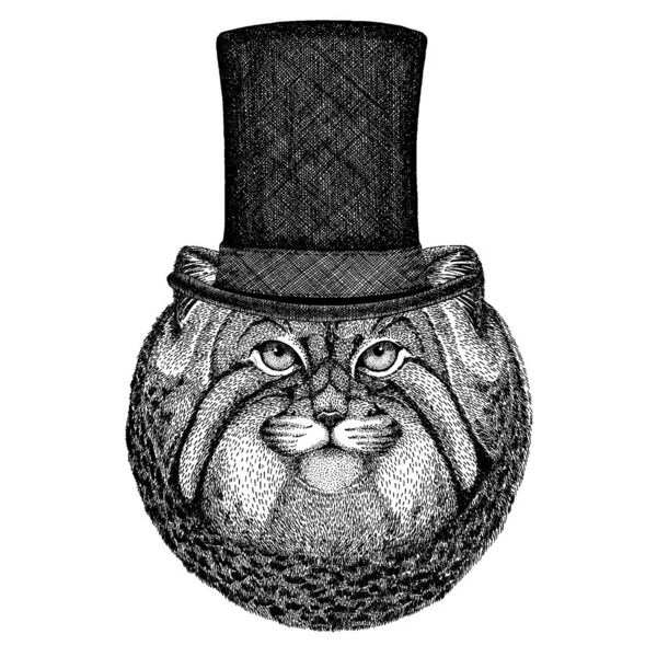 Animal selvagem usando chapéu superior, cilindro. Hipster Manul, gato —  Vetores de Stock