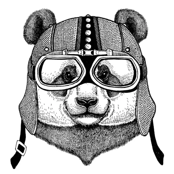 Panda, motorsiklet takan bambu ayı, aero kaskı. Tişört, poster, parmak izi için bisiklet çizimi.