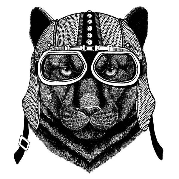 Panter, Puma, Cougar, wilde kat met motorfiets, aero helm. Biker illustratie voor t-shirt, posters, prints. — Stockvector