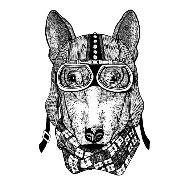 Kutya motorral, repülő sisakkal. Motoros illusztráció pólóhoz, poszterhez, nyomtatáshoz. — Stock Vector