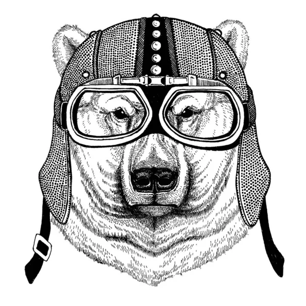 Oso blanco polar Animal con motocicleta, casco aerodinámico. Ilustración de motociclistas para camisetas, carteles, estampados . — Archivo Imágenes Vectoriales