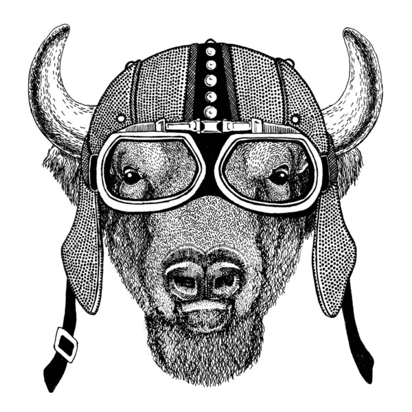 Buffalo, bison, bœuf, taureau Animaux sauvages portant une moto, casque aérodynamique. Illustration de motard pour t-shirt, affiches, impressions . — Image vectorielle
