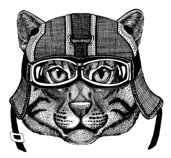 Vild katt Djur bär motorcykel hjälm. Bild för dagis barnkläder, barn. T-shirt, tatuering, emblem, badge, logo, patch — Stock vektor