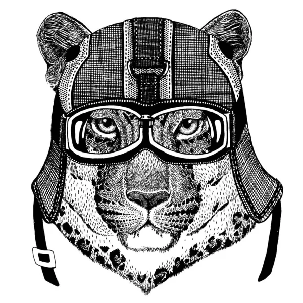 Jaguar, leopardo Animal usando capacete de motocicleta. Imagem para crianças do jardim de infância roupas, crianças. T-shirt, tatuagem, emblema, emblema, logotipo, remendo —  Vetores de Stock