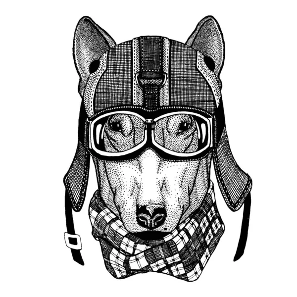 Dog Hipster dier draagt motorfiets helm. Afbeelding voor kleuterschool kinderen kleding, kinderen. T-shirt, tatoeage, embleem, badge, logo, patch — Stockvector