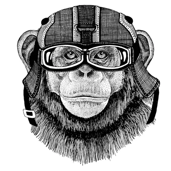 Chimpanzé, macaco Hipster animal usando capacete de motocicleta. Imagem para crianças do jardim de infância roupas, crianças. T-shirt, tatuagem, emblema, emblema, logotipo, remendo —  Vetores de Stock