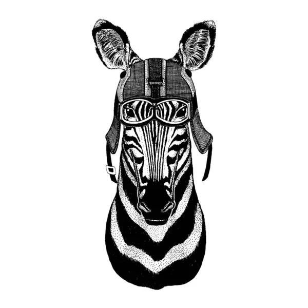 Zebra, hipsterskie zwierzę w kasku motorowym. Obraz dla dzieci w przedszkolu odzież, dzieci. T-shirt, tatuaż, godło, odznaka, logo, łatka — Wektor stockowy