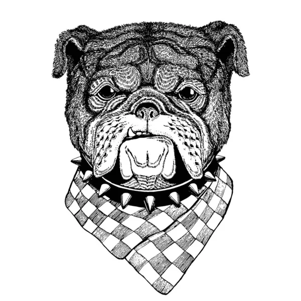 Perro, bulldog. Animal salvaje para tatuaje, cartel de vivero, camiseta para niños, ropa, carteles, emblema, insignia, logotipo, parche — Archivo Imágenes Vectoriales