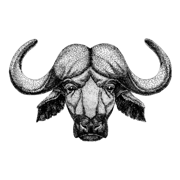 Buffalo, taureau, bœuf. Animal sauvage pour tatouage, affiche de pépinière, tee pour enfants, vêtements, affiches, emblème, insigne, logo, patch — Image vectorielle