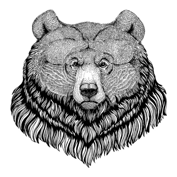 Beer, grizzly. Wild dier voor tatoeage, kinderposter, kinder T-shirt, kleding, posters, embleem, badge, logo, patch — Stockvector