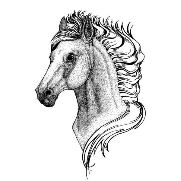 Caballo, caballo, caballo, caballo, caballo, caballo. Animal salvaje para tatuaje, cartel de vivero, camiseta para niños, ropa, carteles, emblema, insignia, logotipo, parche — Vector de stock