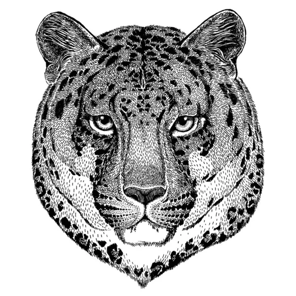 Leopard, Jaguar, Panther. Wildtier für Tätowierung, Kinderzimmer Poster, Kinder Tee, Kleidung, Poster, Emblem, Abzeichen, Logo, Aufnäher — Stockvektor