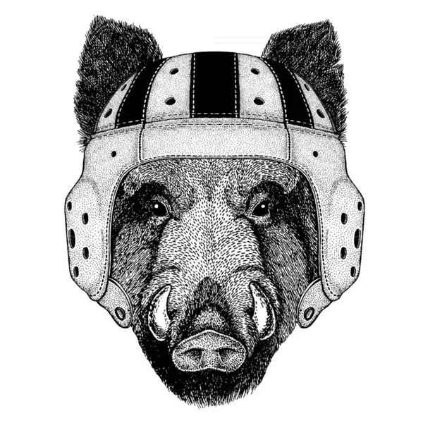Schwein, Eber, Eber. Porträt eines Tieres mit Rugbyhelm — Stockvektor