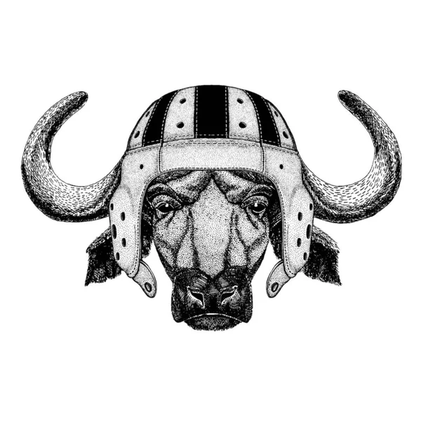 Bölény, bölény, bika. A rögbi sisakot viselő állat portréja — Stock Vector