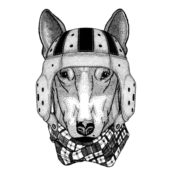 Bullterrier. Portrait d'un animal portant un casque de rugby — Image vectorielle