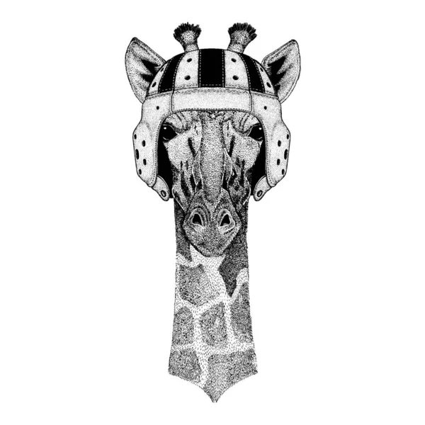 Girafe. Portrait d'un animal portant un casque de rugby — Image vectorielle