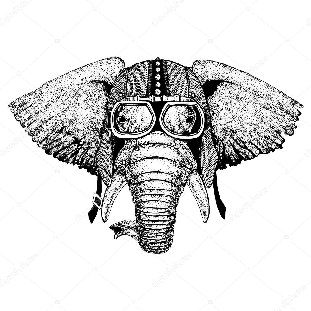 African or indian Elephant Hand drawn illustration for tattoo, emblem, badge, logo, patch, t-shirt