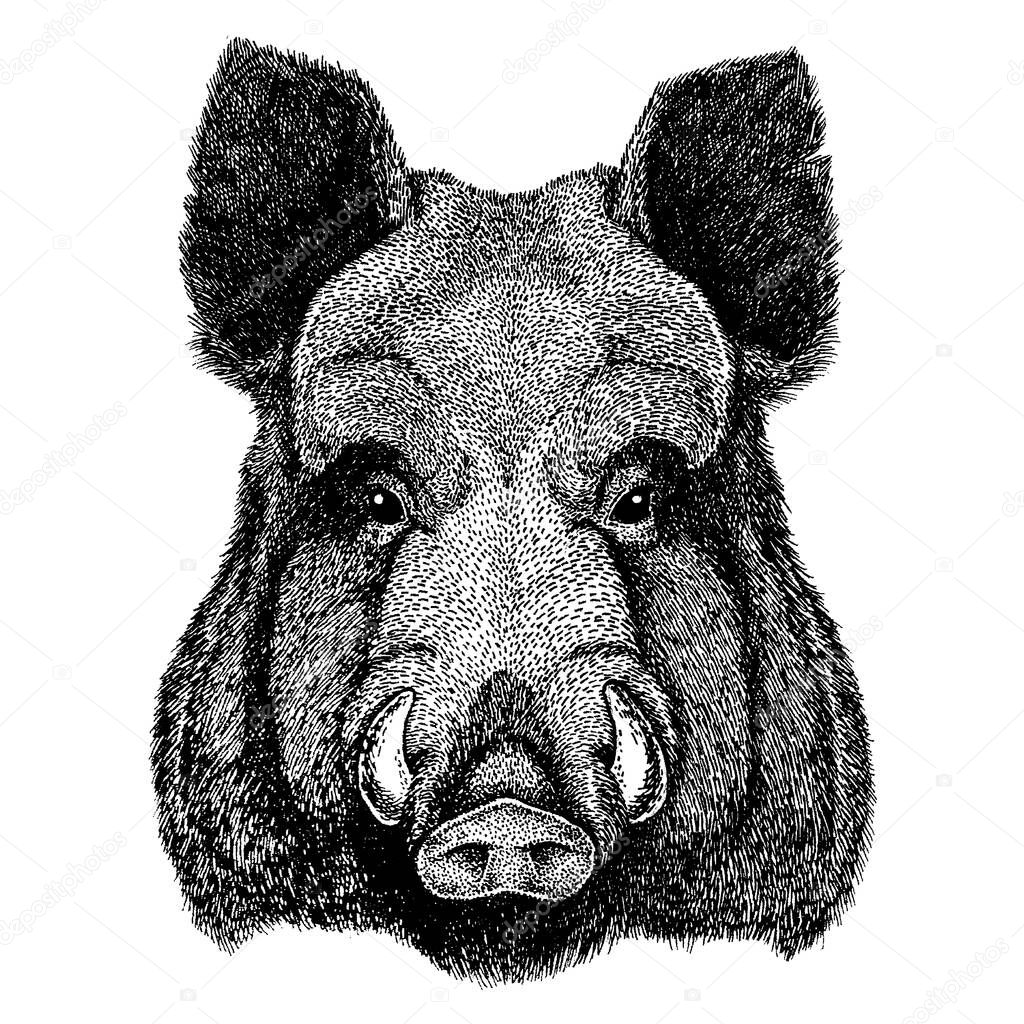 Wild animal for tattoo, nursery poster, children tee, clothing, posters, emblem badge logo patch