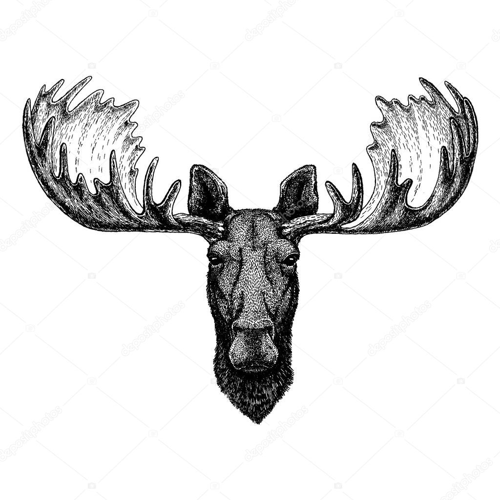 Wild animal for tattoo, nursery poster, children tee, clothing, posters, emblem badge logo patch
