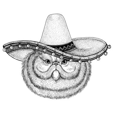 Meksikalı sombrero. Ulusal şapka. Cinco de mayonez. Ölüler Günü.