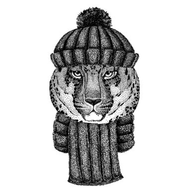 Vahşi kedi Leopar Kedi-Dağ Panter Havalı hayvan örülmüş kış şapkası takıyor. Dövme, tişört, amblem, rozet, logo, yama için başlık.