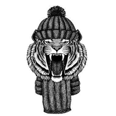 Vahşi kaplan örülmüş kış şapkası takan havalı hayvan. Dövme, tişört, amblem, rozet, logo, yama için başlık.