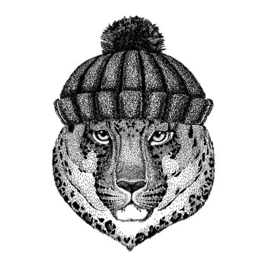 Vahşi kedi Leopar Kedi-Dağ Panter Havalı hayvan örülmüş kış şapkası takıyor. Dövme, tişört, amblem, rozet, logo, yama için başlık.