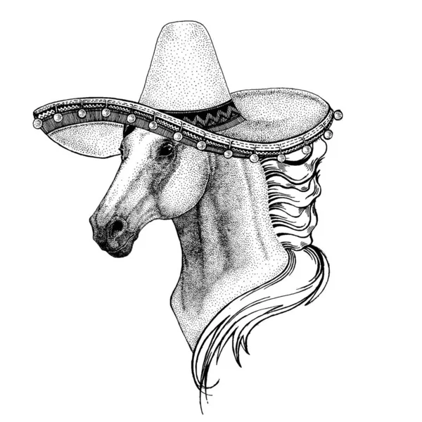 Mexikansk sombrero. Nationell hatt. Cinco de Mayo. De dödas dag. — Stock vektor