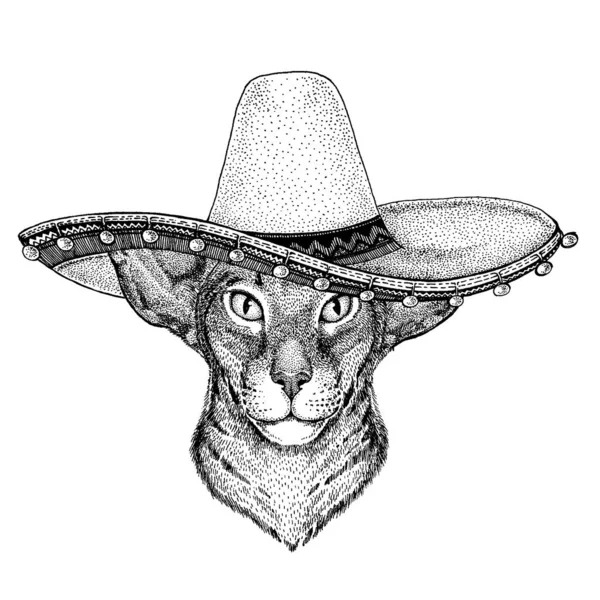 Mexikói sombrero. Nemzeti kalap. Cinco de majonéz. Halottak napja.. — Stock Vector