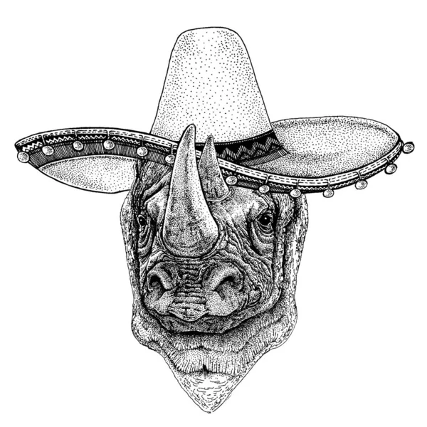 Mexicaanse sombrero. Nationale hoed. Cinco de mayo. Dag van de doden. — Stockvector