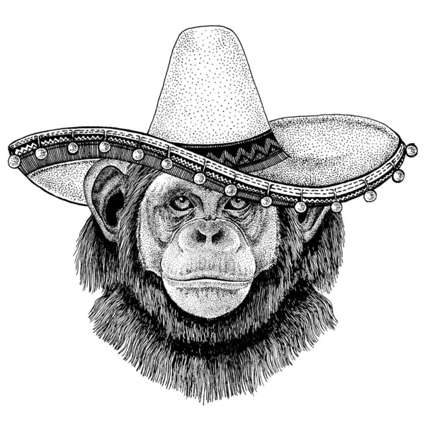 Mexican sombrero. National hat. Cinco de mayo. Day of the dead. — Stock Vector