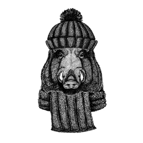 Дикая свинья, свинья, кабан, апер Крутое животное в вязаной зимней шляпе. Рождественская шапочка для татуировки, футболки, эмблемы, значка, логотипа, нашивки — стоковый вектор