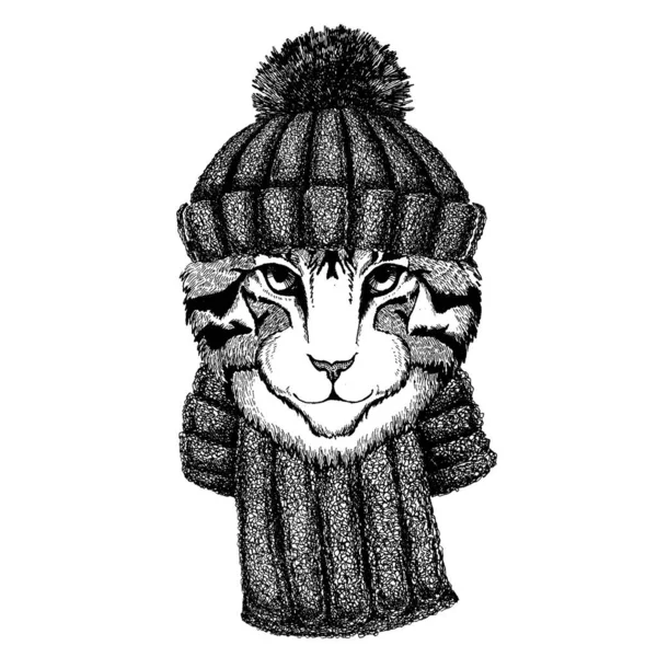 Imagen de gato doméstico Animal fresco con sombrero de invierno de punto. Gorro de tocado caliente Gorra de Navidad para tatuaje, camiseta, emblema, insignia, logotipo, parche — Vector de stock