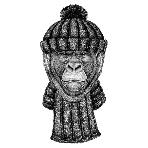 Gorilla, monkey, ape Cool animal wearing knitted winter hat. Warm headdress beanie Christmas cap for tattoo, t-shirt, emblem, badge, logo, patch — Stock Vector