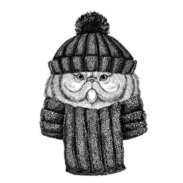 Πορτρέτο της αφράτης περσικής γάτας Δροσερό ζώο που φοράει πλεκτό καπέλο χειμώνα. Χριστουγεννιάτικο καπέλο για τατουάζ, t-shirt, έμβλημα, σήμα, λογότυπο, μπάλωμα — Διανυσματικό Αρχείο