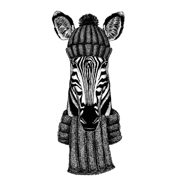 Zebra Horse Cool animal wearing knitted winter hat. Warm headdress beanie Christmas cap for tattoo, t-shirt, emblem, badge, logo, patch — Stock Vector