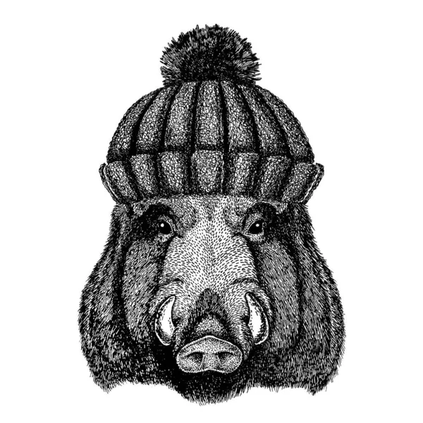 Wild zwijn, varken, zwijn, papier Cool dier met gebreide wintermuts. Warme hoofdtooi muts Kerstmuts voor tatoeage, t-shirt, embleem, badge, logo, patch — Stockvector