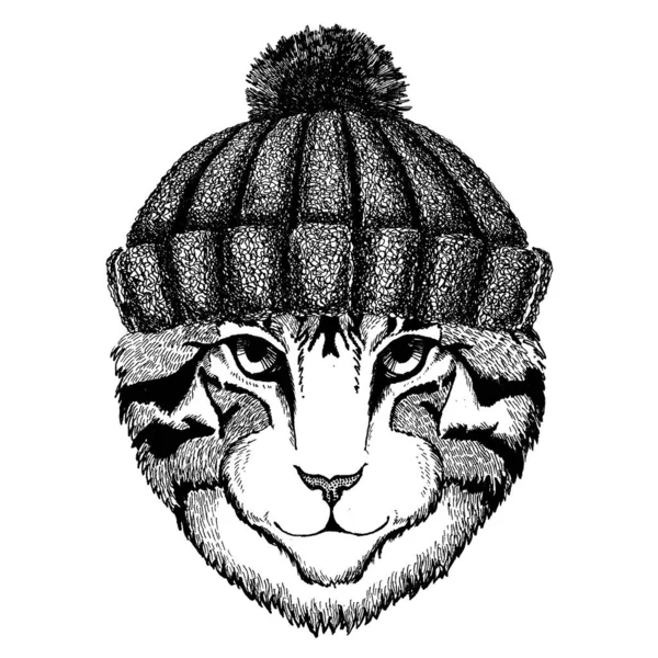 Imagen de gato doméstico Animal fresco con sombrero de invierno de punto. Gorro de tocado caliente Gorra de Navidad para tatuaje, camiseta, emblema, insignia, logotipo, parche — Vector de stock