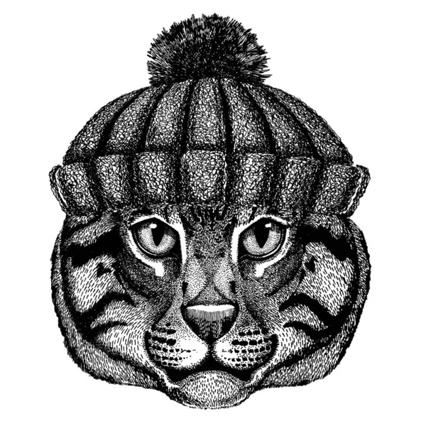 Wild cat Vissen kat Cool dier draagt gebreide wintermuts. Warme hoofdtooi muts Kerstmuts voor tatoeage, t-shirt, embleem, badge, logo, patch — Stockvector