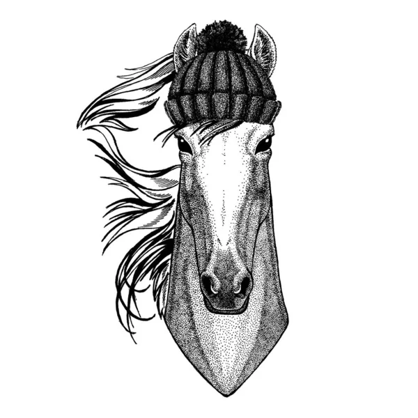 Cavallo, cavallo, cavallo, destriero, corsetto Animale fresco con cappello invernale lavorato a maglia. Berretto caldo copricapo di Natale per tatuaggio, t-shirt, emblema, distintivo, logo, patch — Vettoriale Stock