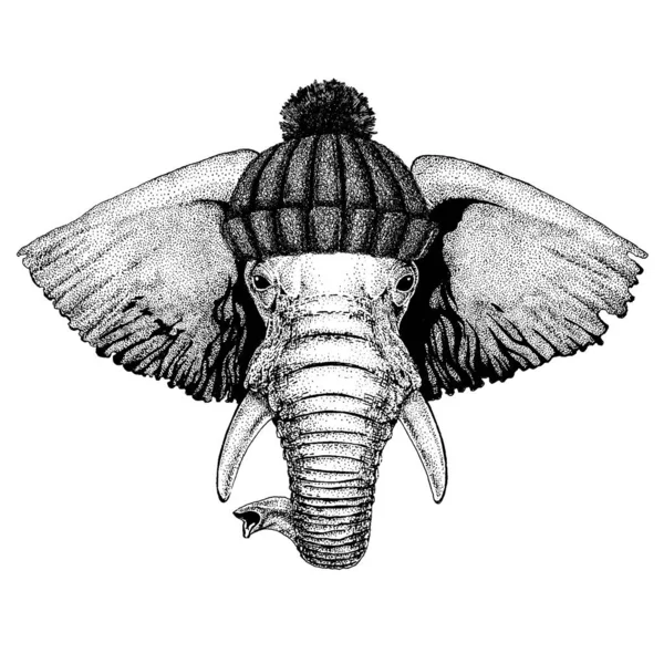 Elefante africano ou indiano Animal fresco com chapéu de inverno de malha. Gorro de Natal de gorro de cobertura para a cabeça quente para tatuagem, t-shirt, emblema, emblema, logotipo, patch —  Vetores de Stock