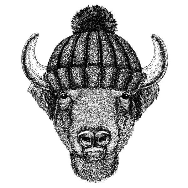 Búfalo, bisonte, buey, toro Cool animal con sombrero de invierno de punto. Gorro de tocado caliente Gorra de Navidad para tatuaje, camiseta, emblema, insignia, logotipo, parche — Archivo Imágenes Vectoriales