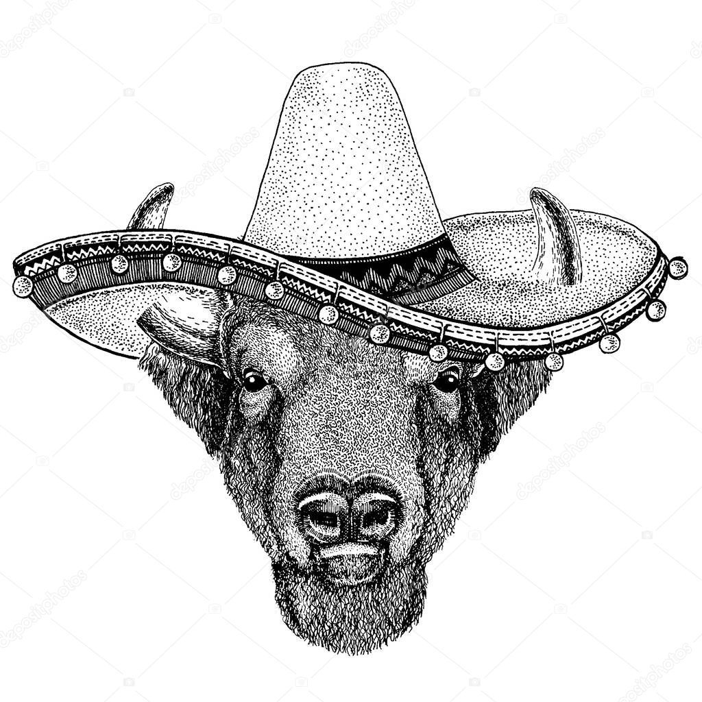 National hat. Cinco de mayo. Day of the dead. Mexican sombrero.