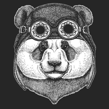 Büyük panda, bambu ayı portresi. Havacı deri miğfer. Şirin bir hayvanın yüzü. Ayı kafası..