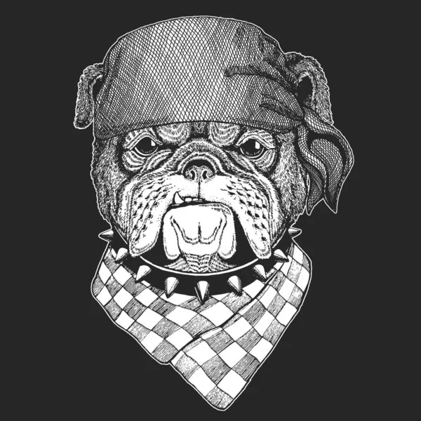 Bulldog, dog. Bandana. Biker, pirate. Portrait of cute animal. — Stock Vector
