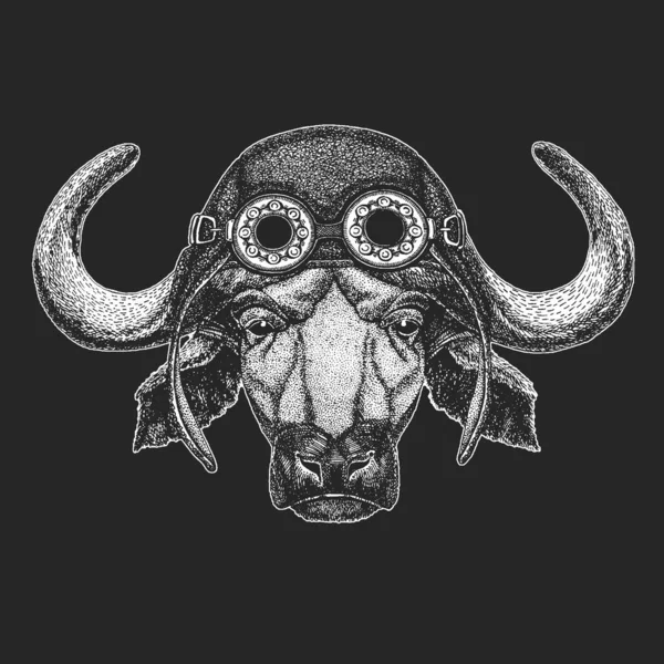 Bölény, bölény, bika, tehén. Madárbőr sisak. Az állat arca. — Stock Vector