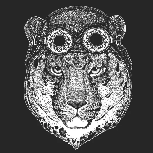 Leopardo, cara de jaguar, cabeza. Casco de cuero aviador. Retrato de animal salvaje . — Vector de stock