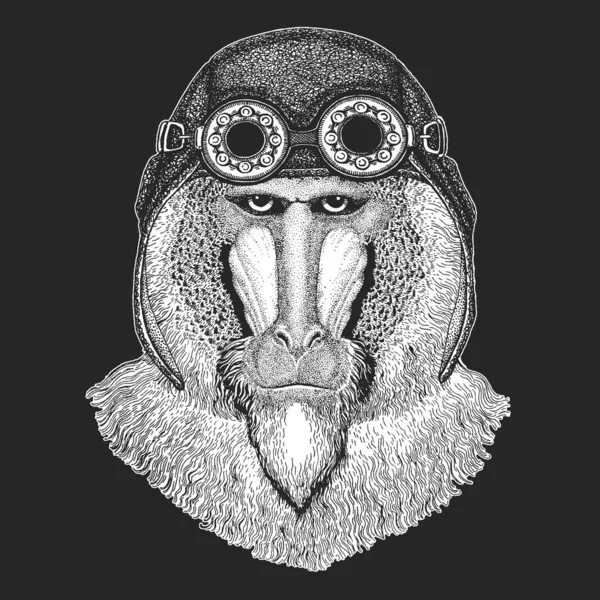 Babouin, singe, singe. Casque en cuir aviateur. Tête, portrait d'animal . — Image vectorielle